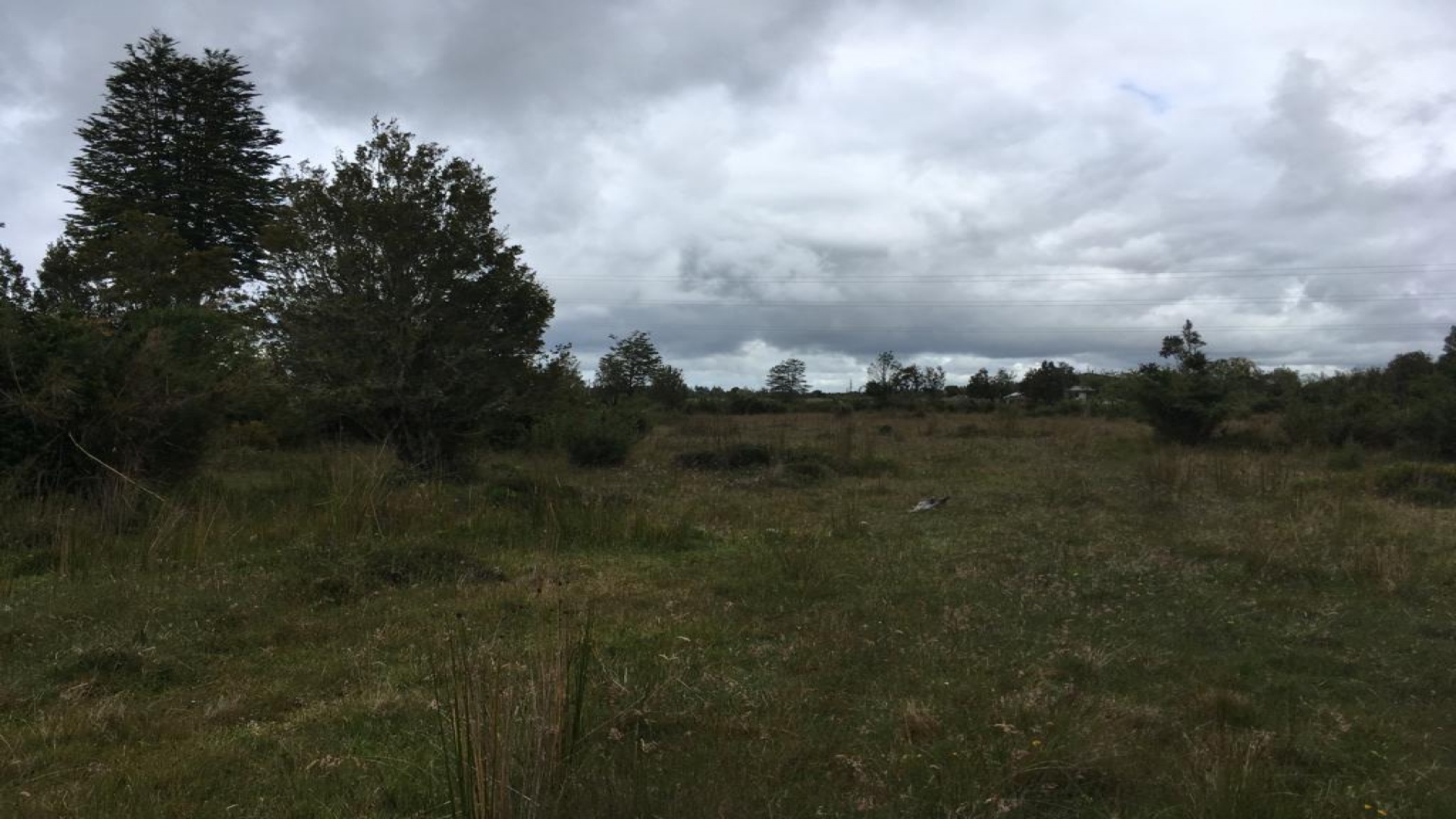 Carretera 5 Sur Km. 1050, Los Lagos 5840000, ,Parcela,En Venta,1000