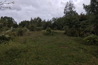 Carretera 5 Sur Km. 1050, Los Lagos 5840000, ,Parcela,En Venta,1000