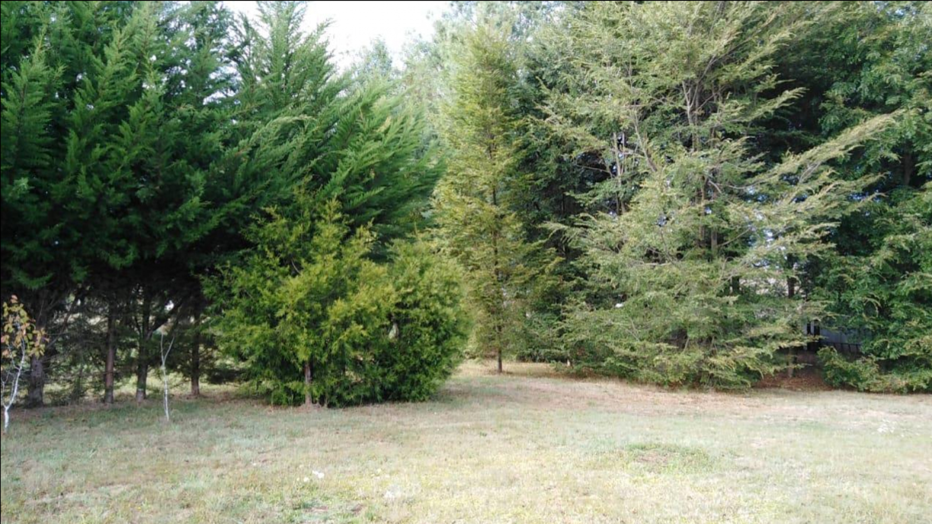 Km 4 Ca. Toltén, La Araucania 4950000, ,Parcela,En Venta,1001