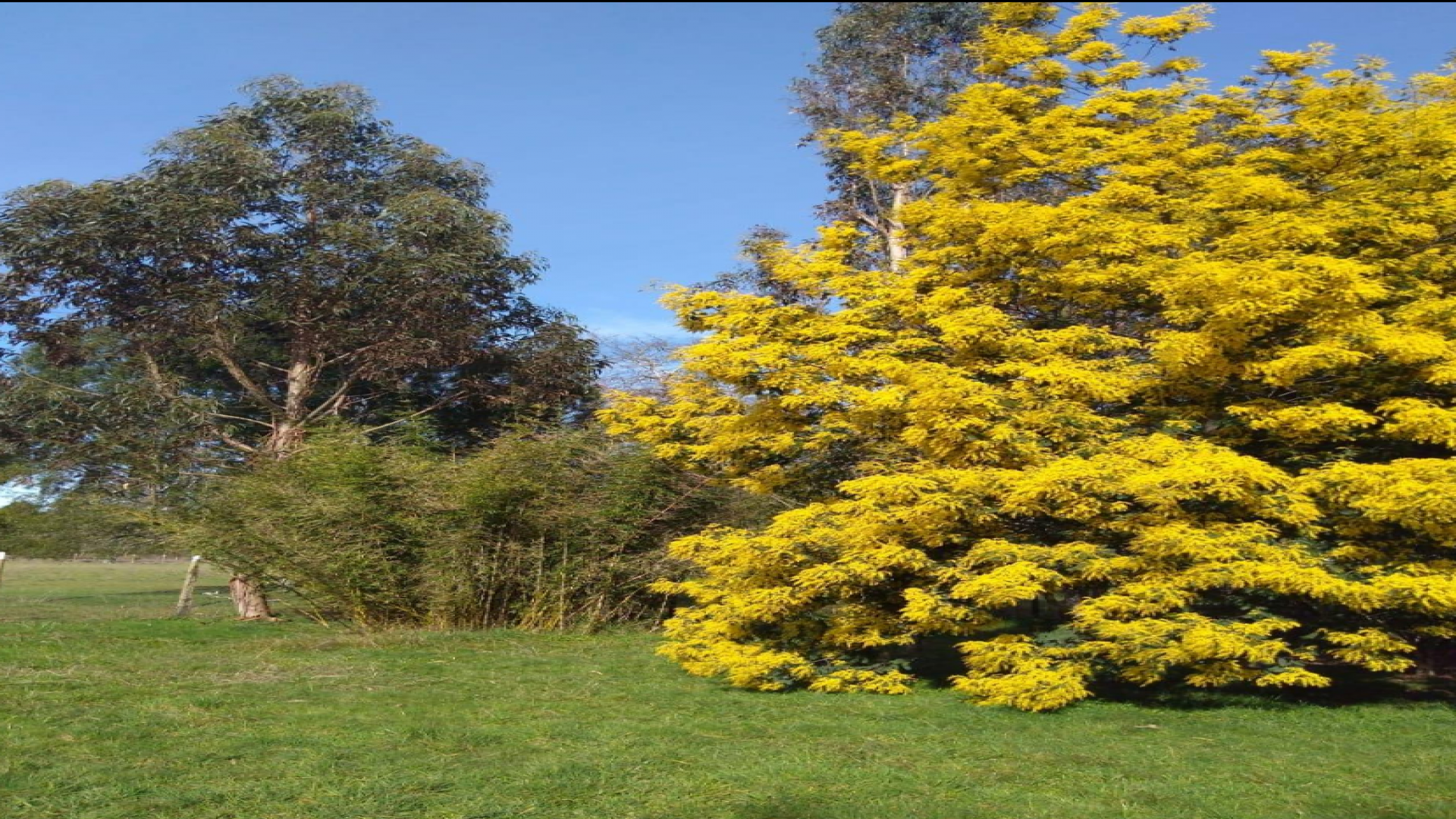 Km 4 Ca. Toltén, La Araucania 4950000, ,Parcela,En Venta,1001