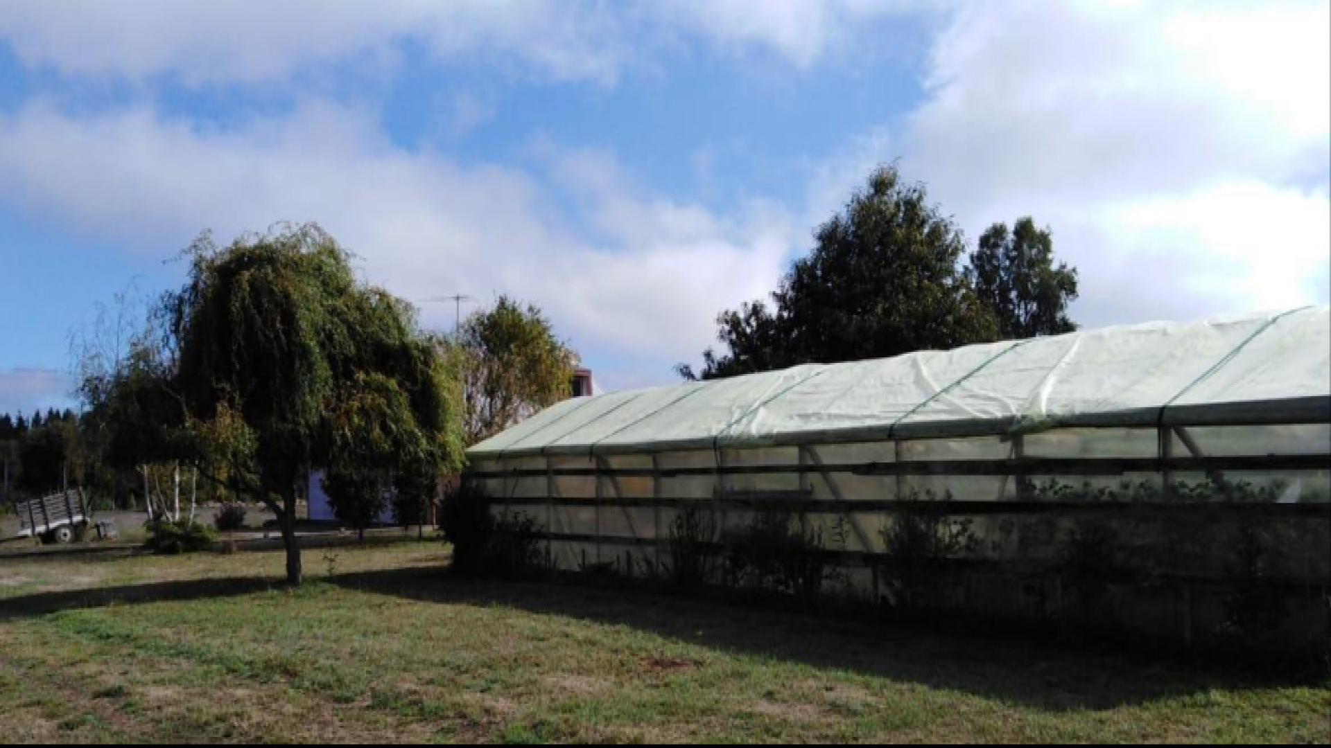 Km 4 Ca. Toltén, La Araucania 4950000, ,Parcela,En Venta,1001