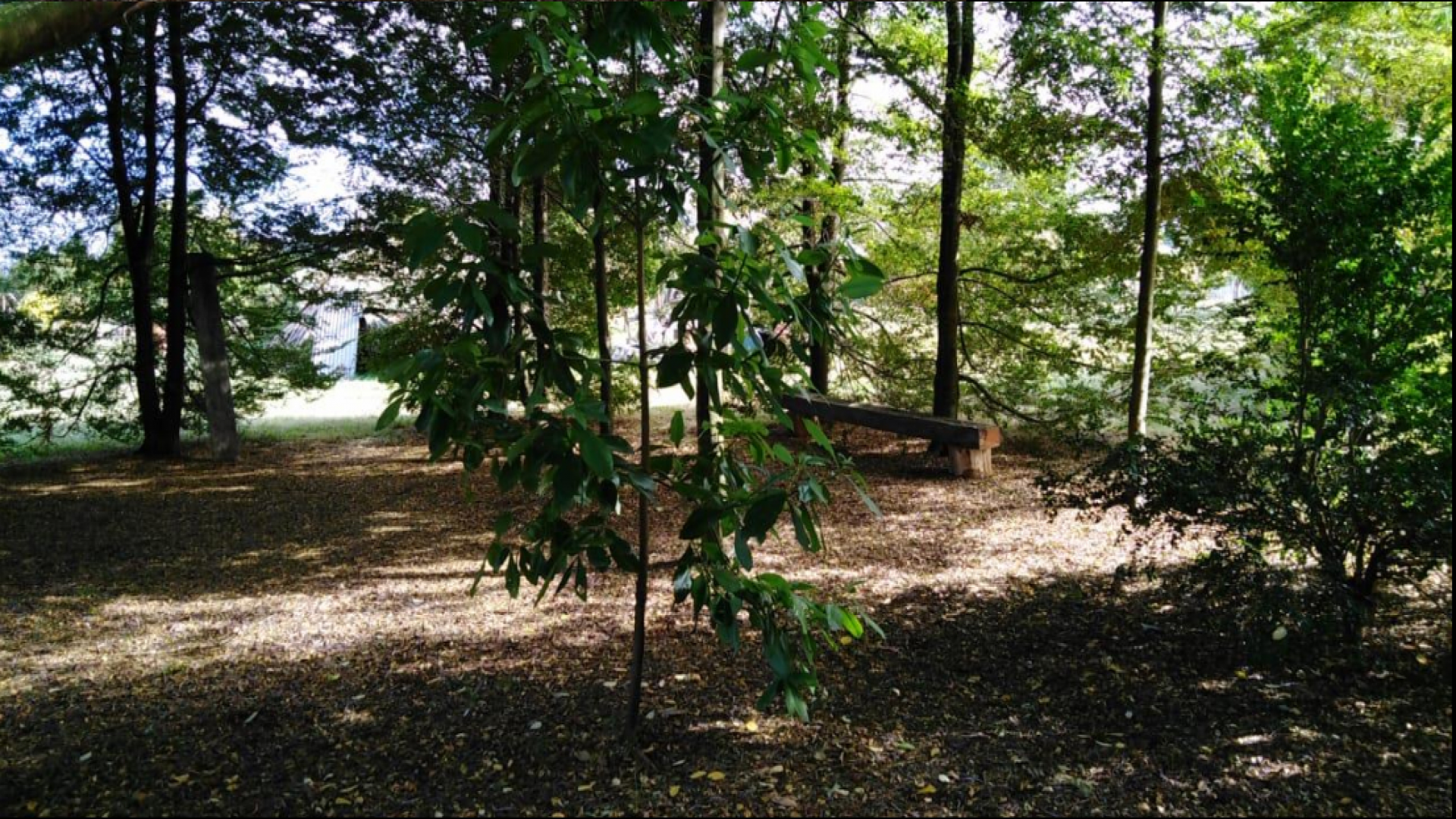 Km 4 Ca. Toltén, La Araucania 4950000, ,Parcela,En Venta,1001